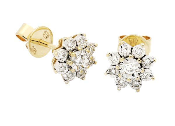 Picture of Earrings Dylan