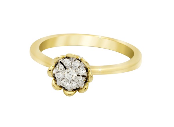 Picture of Ring Waterlily