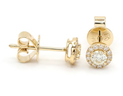 Picture of Earrings E-18801-YG