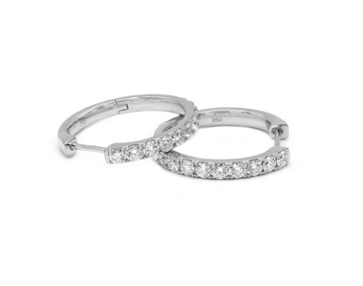 Picture of Earrings E-29145-WG