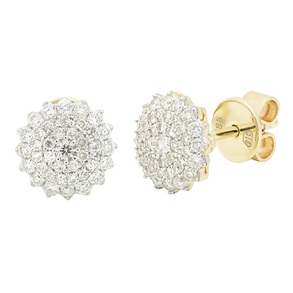 Picture of Earrings Kendra