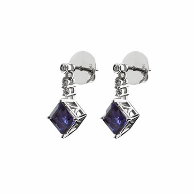 Picture of Earrings Pantera