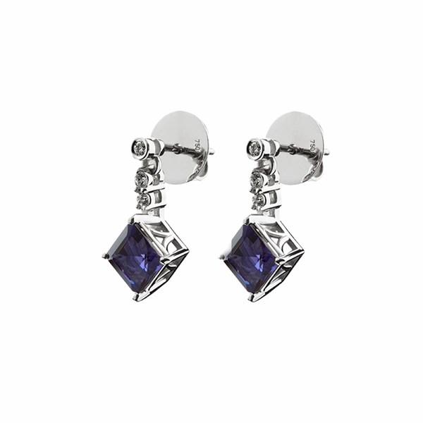 Picture of Earrings Pantera