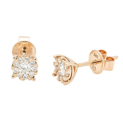 Picture of Earrings Artie