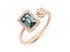 Picture of Ring R-37913-PG, Picture 1