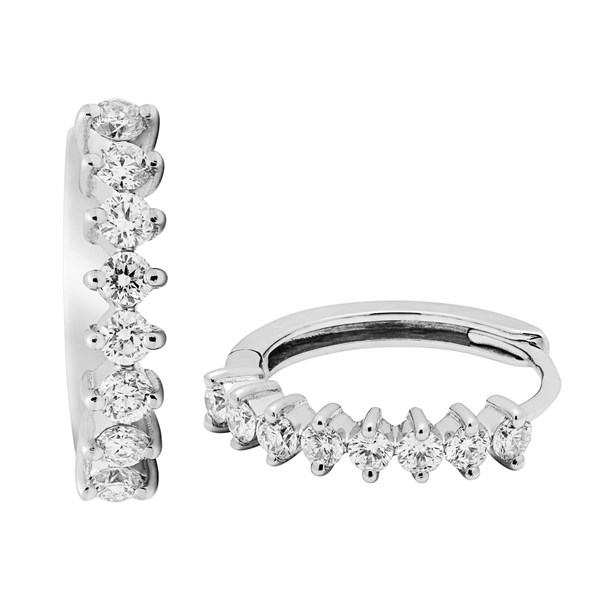 Picture of Earrings E-17290-WG