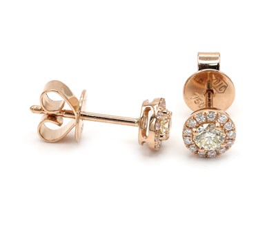 Picture of Earrings E-18851-PG