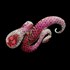 Picture of Ring Matragi Octopus Pink, Picture 2
